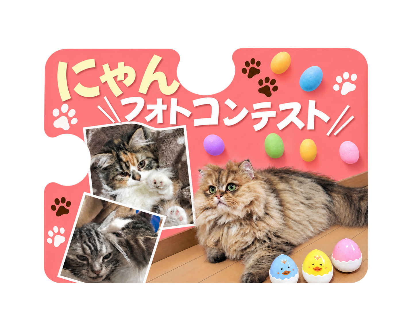 にゃんこフォトコンテストバナー